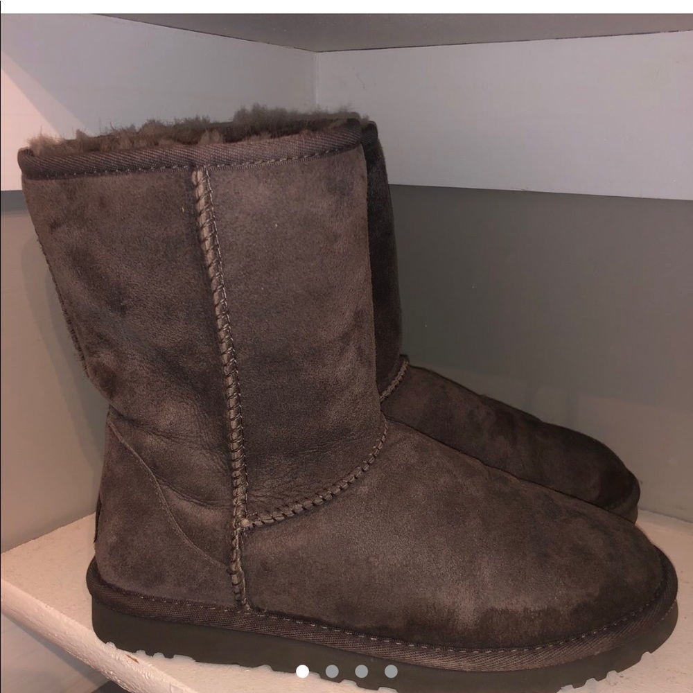 Gray Classic UGGs